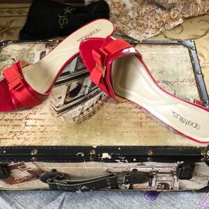 Elegant Red High Heeled Shoes